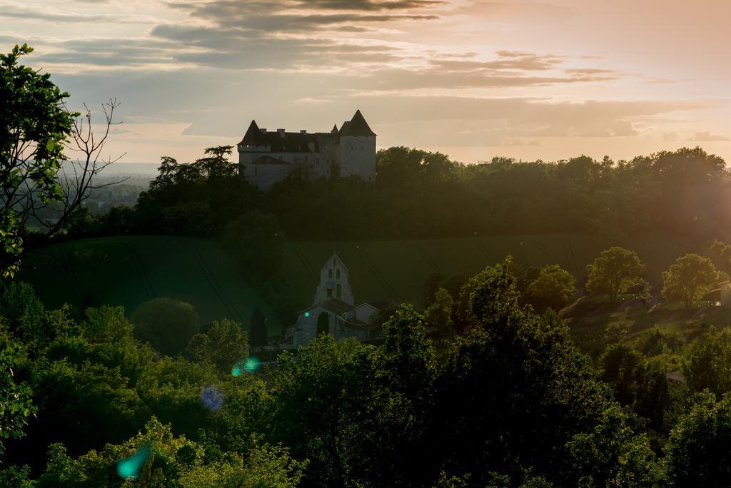 Chateau De Goudourville Willa Zewnętrze zdjęcie